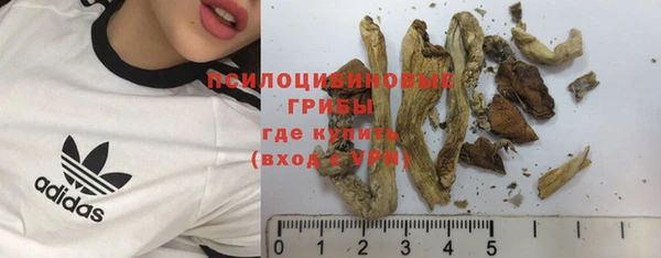 винт Кинешма